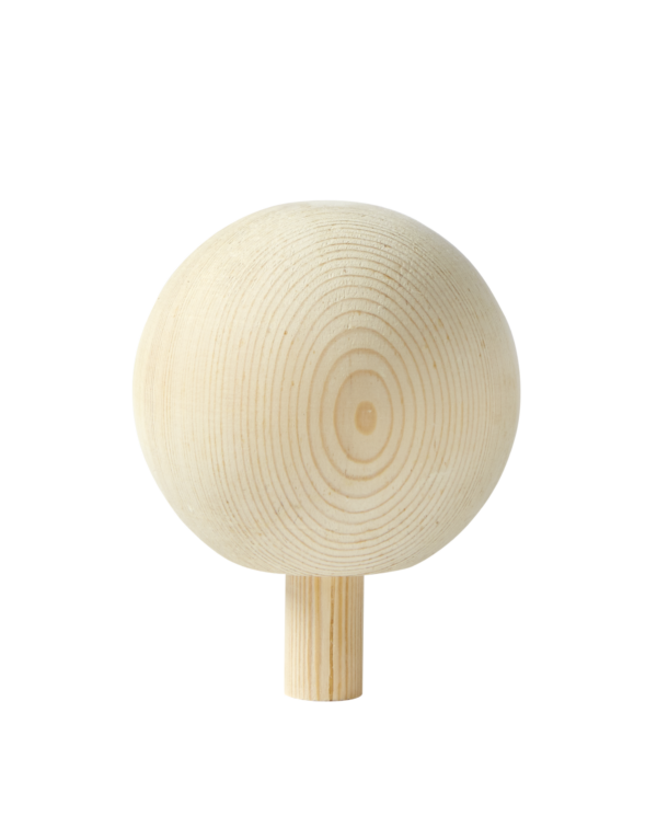 Knopp