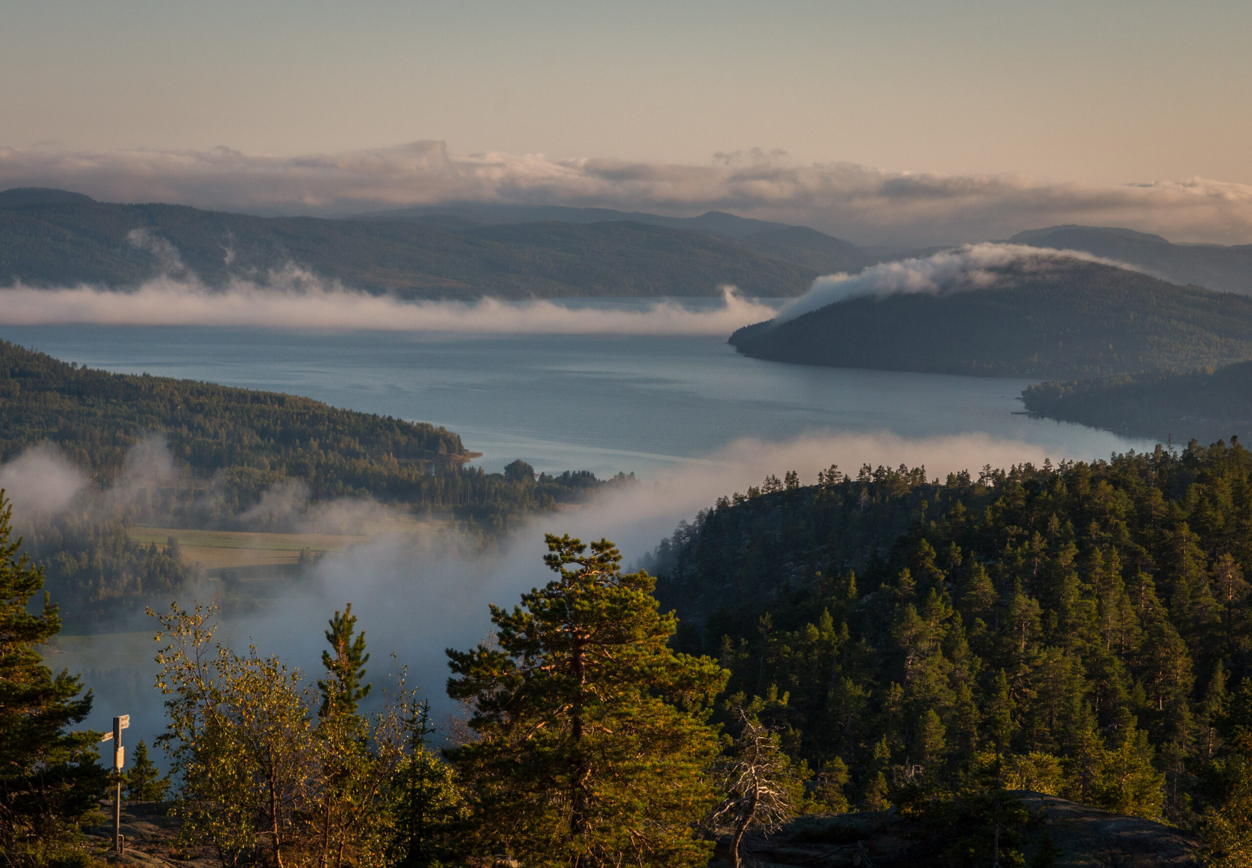 Dimmigt landskap över Höga Kusten